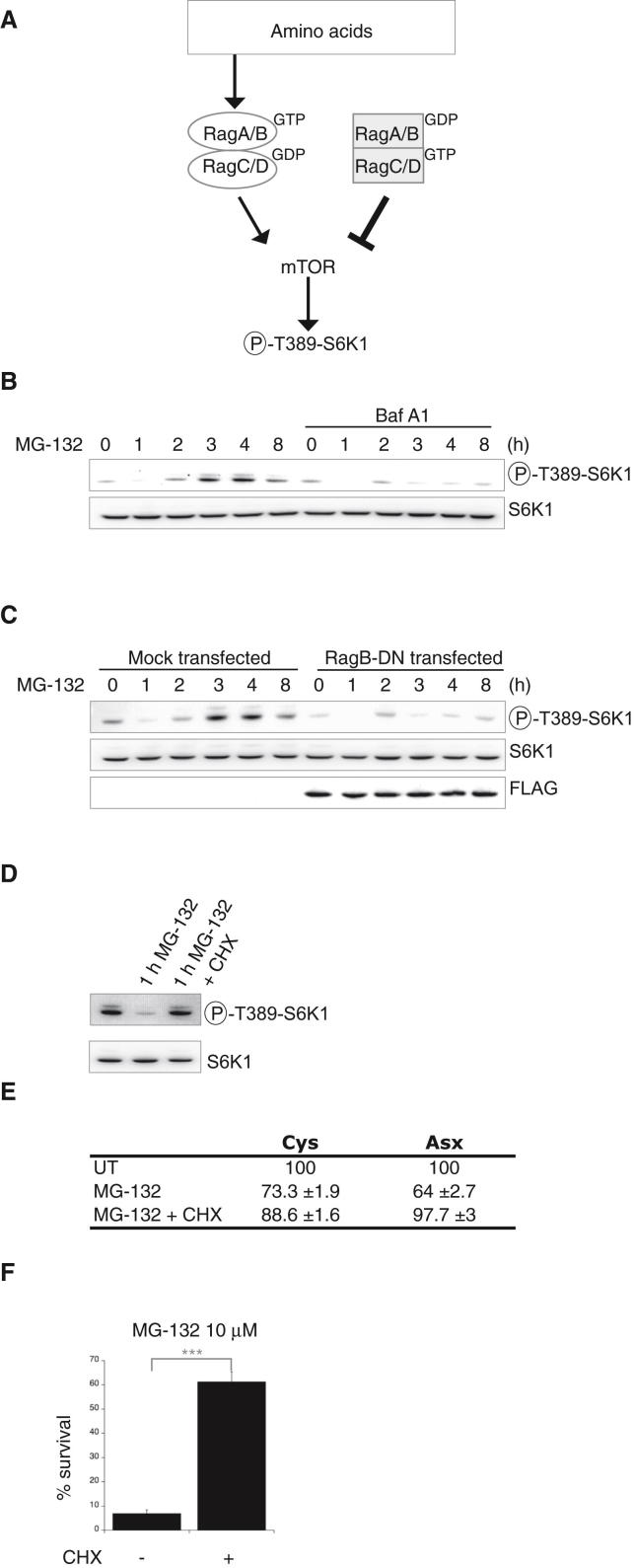 Figure 5