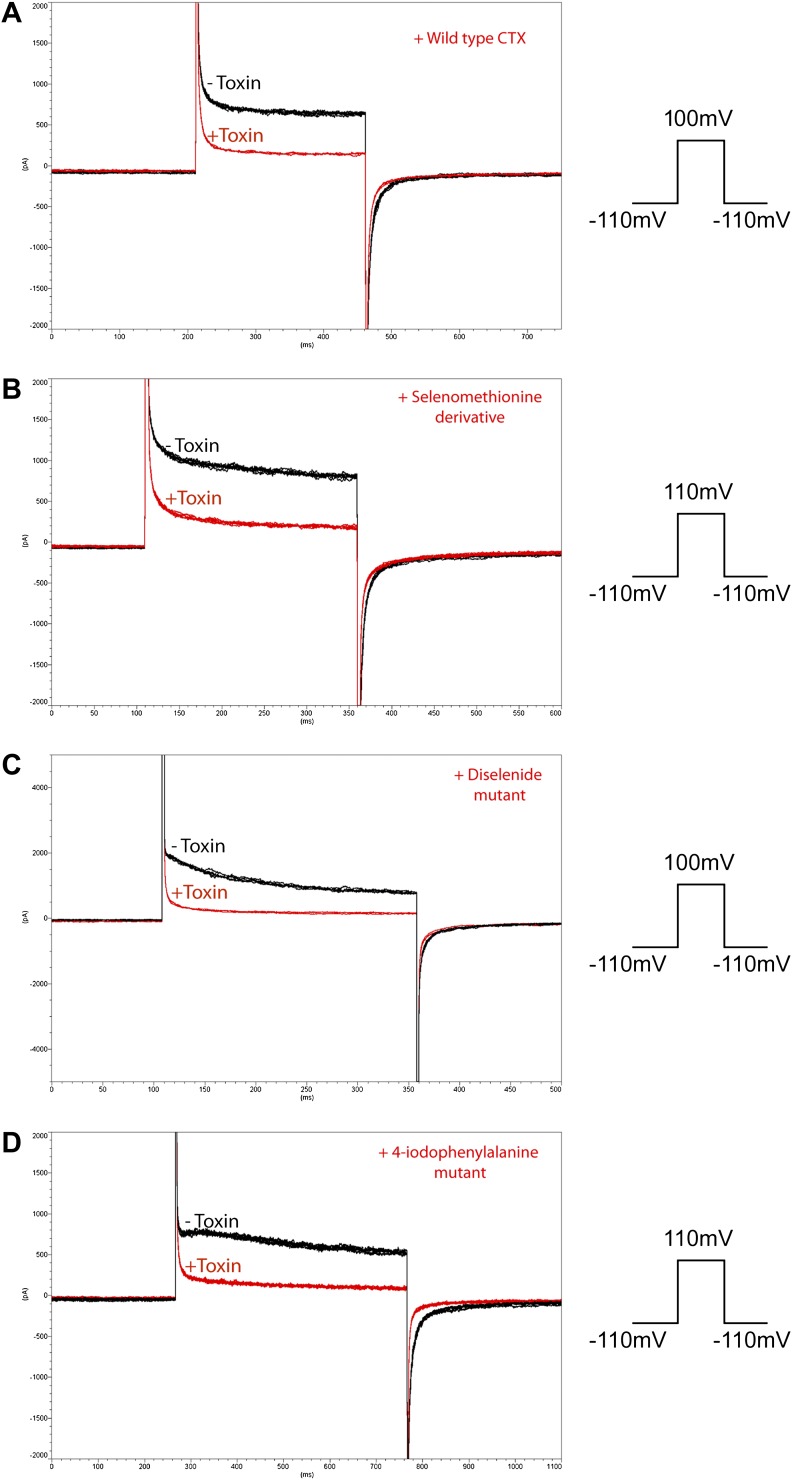 Figure 4—figure supplement 1.