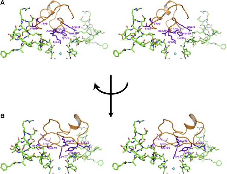 Figure 7.