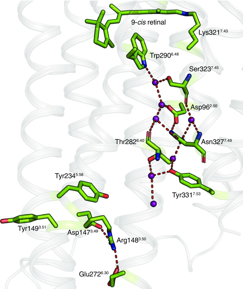 Fig. 6.