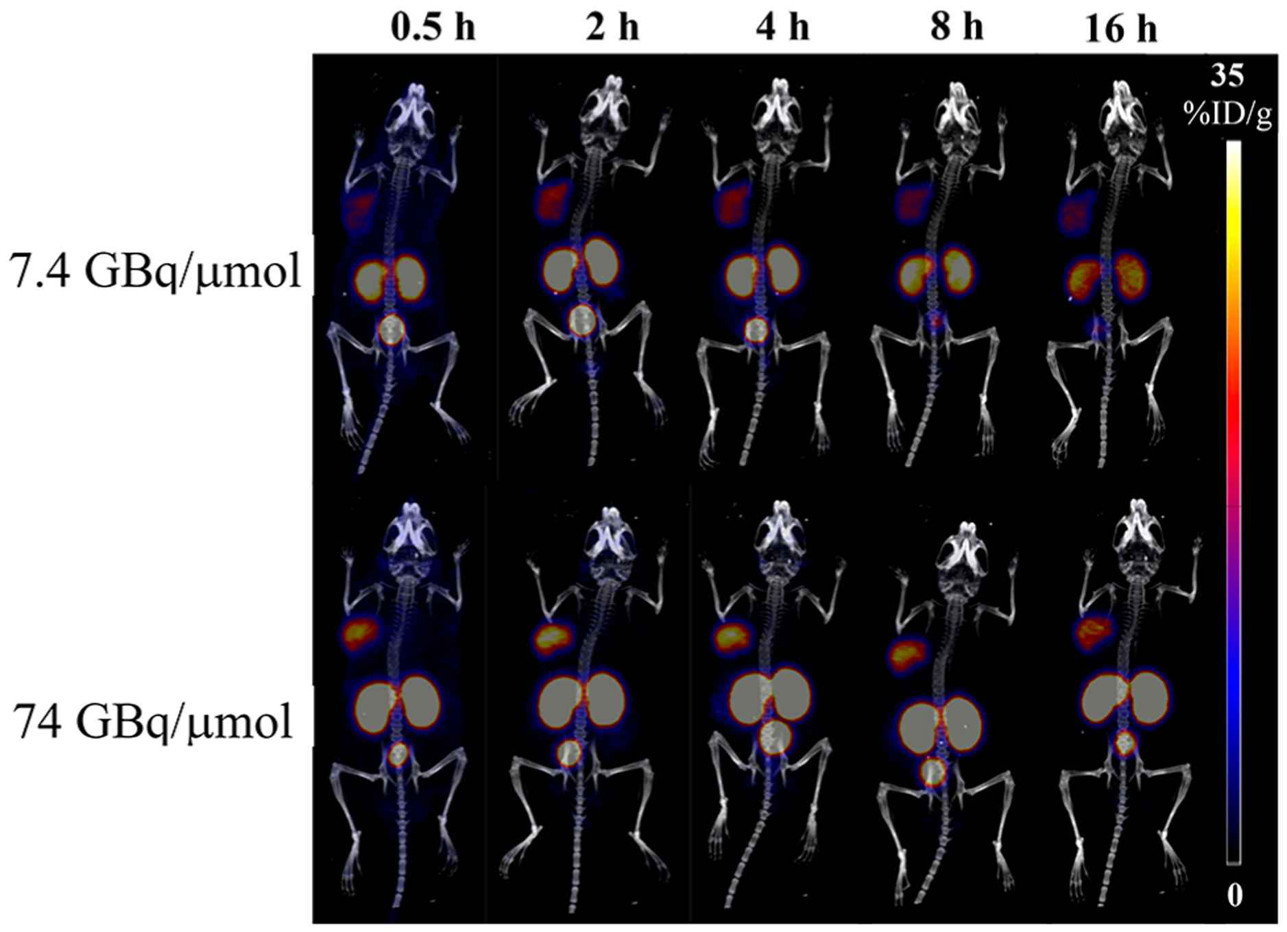 Figure 6.