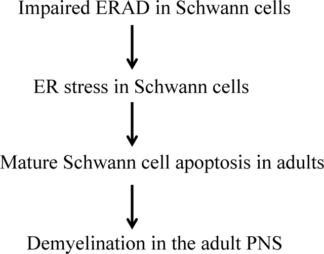 graphic file with name nihms-1778189-f0001.jpg