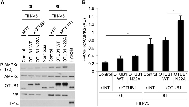 Fig 5