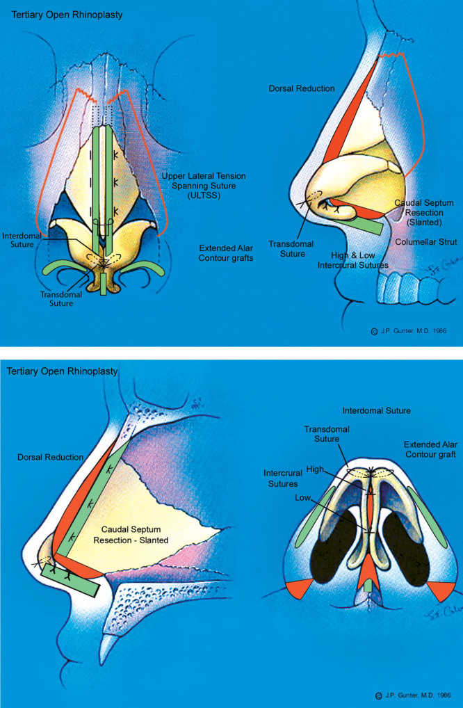 Fig. 8.