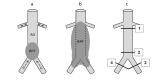 Figure 1. a–c.