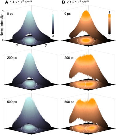 Fig. 2