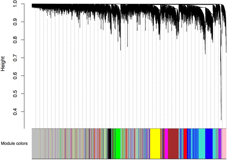 FIGURE 1