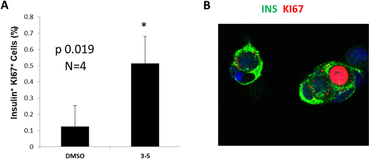 Figure 3: