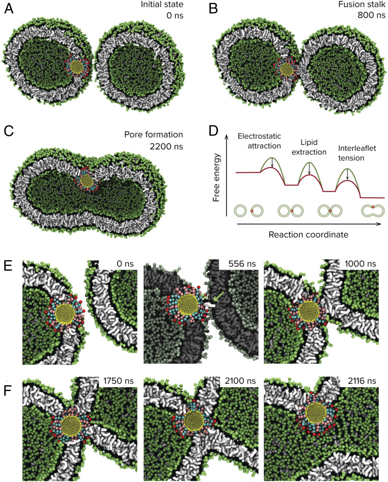 Fig. 2.