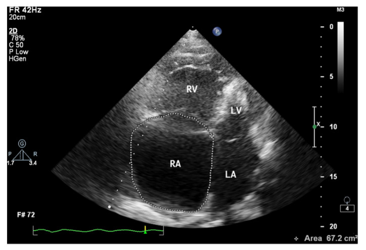 Figure 7