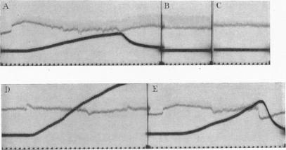 Fig. 11