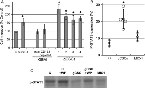 Fig. 1.