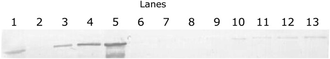 Fig. 9.
