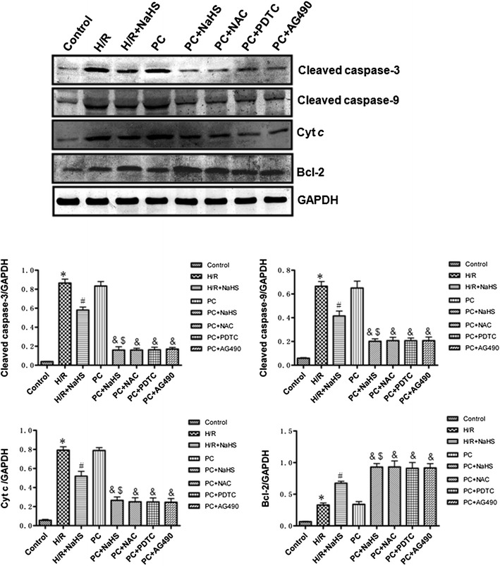 Fig. 4