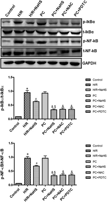 Fig. 7