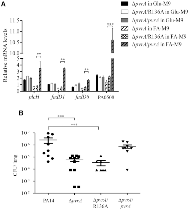 Figure 10.