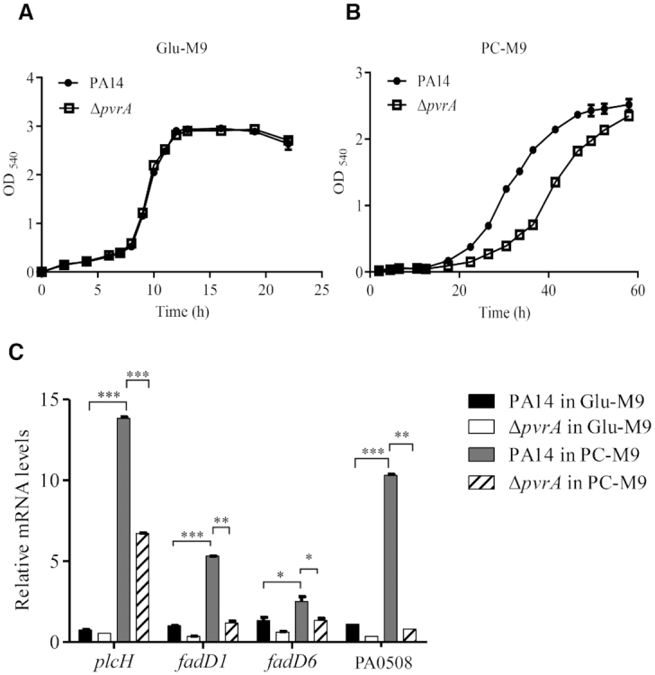 Figure 5.