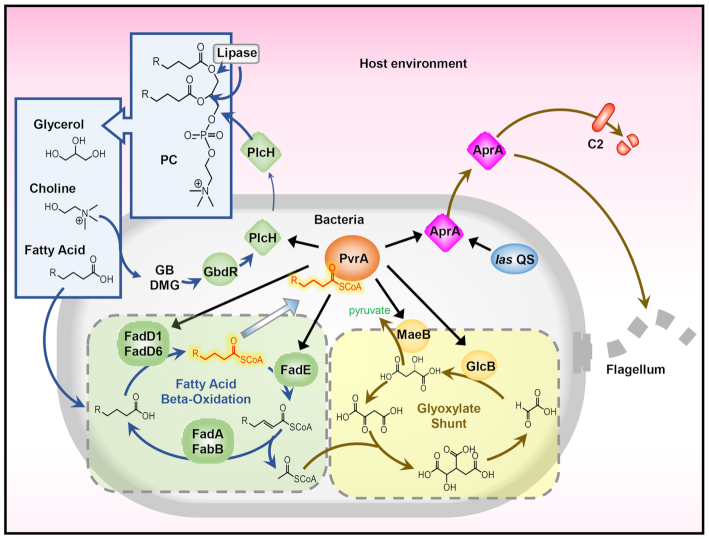 Figure 12.