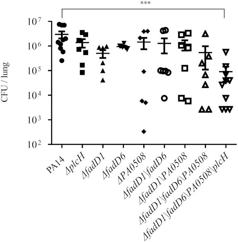 Figure 11.