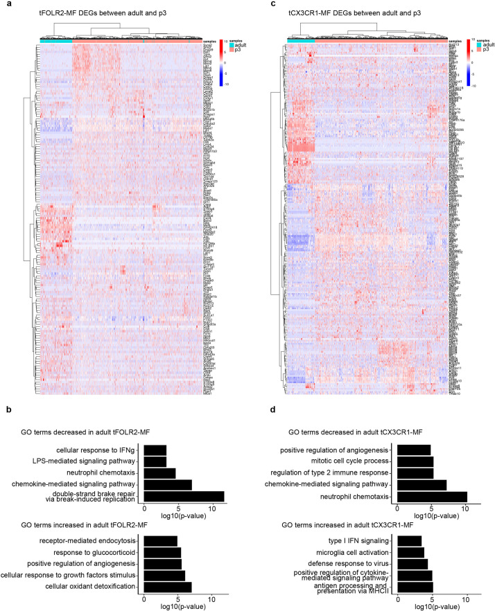 Figure 6—figure supplement 1.