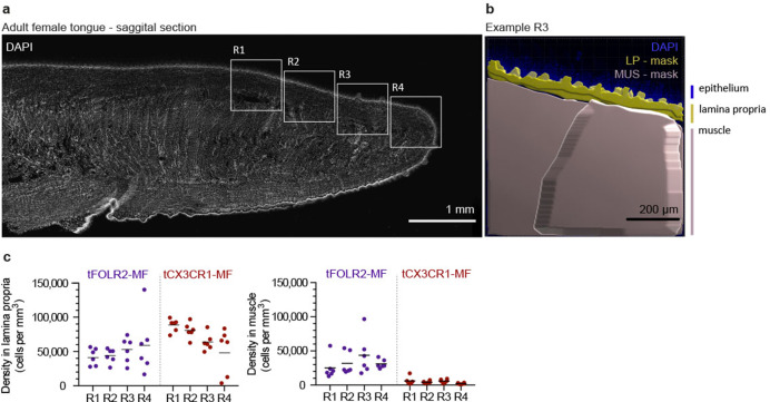 Figure 3—figure supplement 1.