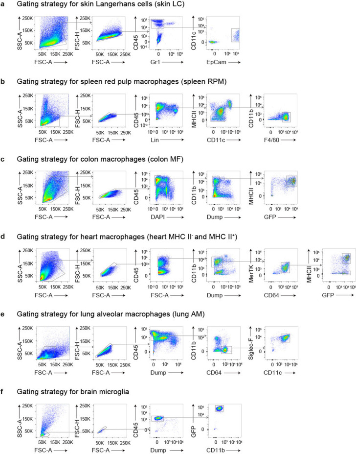 Figure 2—figure supplement 2.