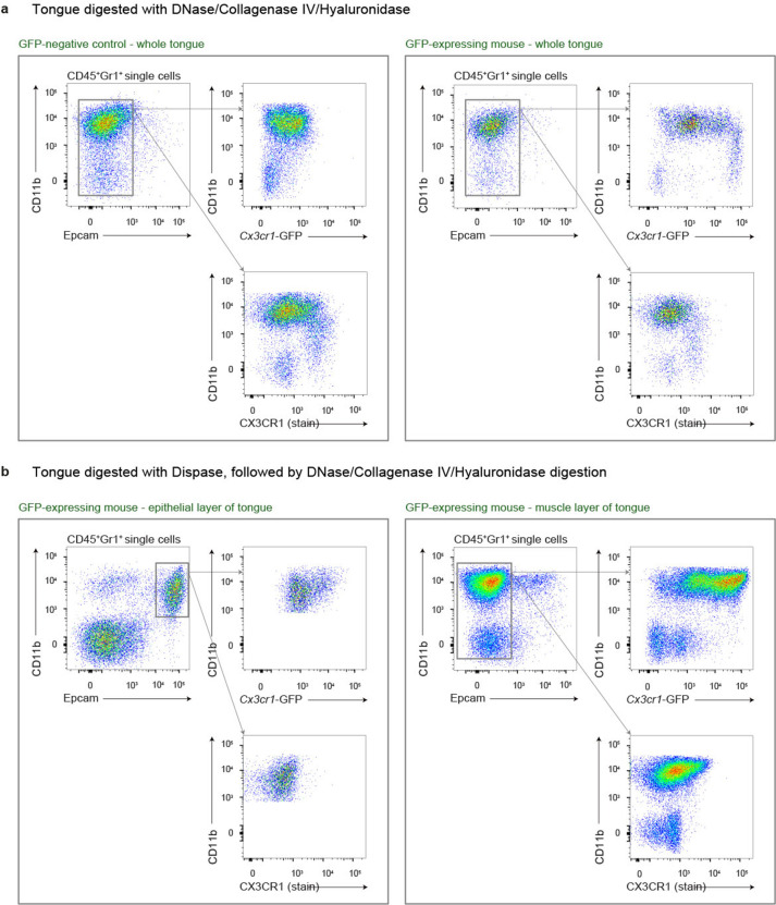 Figure 2—figure supplement 1.