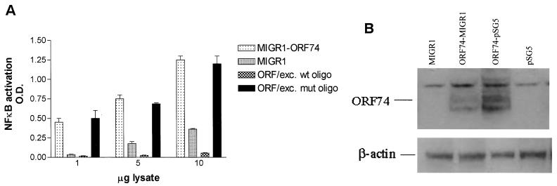 FIG. 5