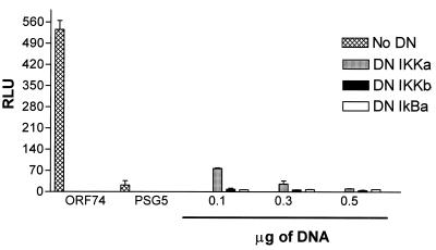 FIG. 7