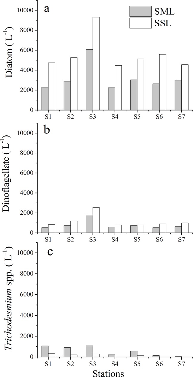 Fig 5