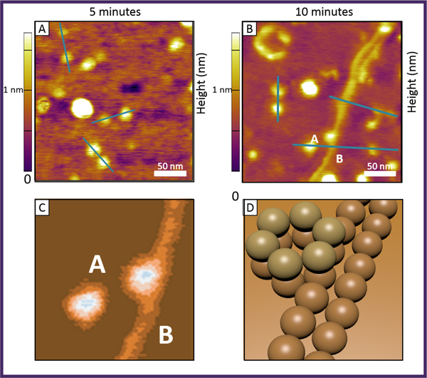 Figure 4.