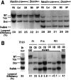 Fig. 9.