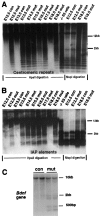 Fig. 5.