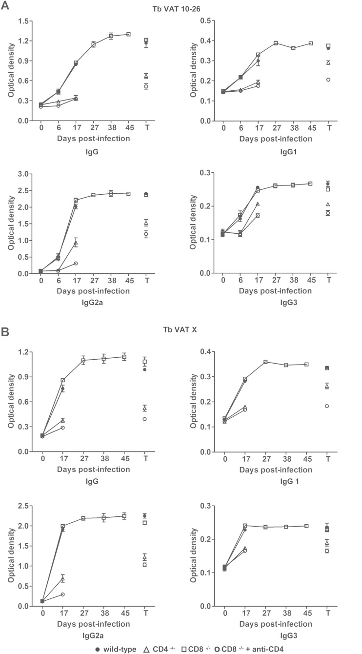 FIG 6