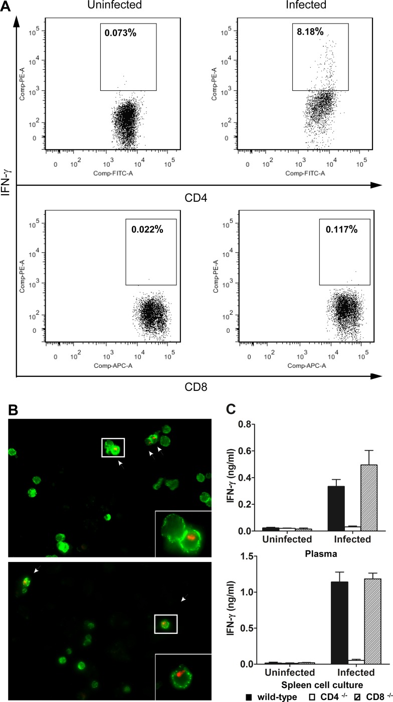 FIG 2