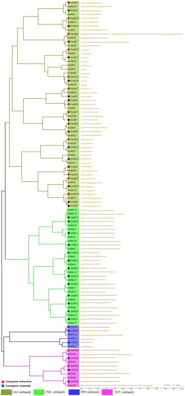 Fig. 3