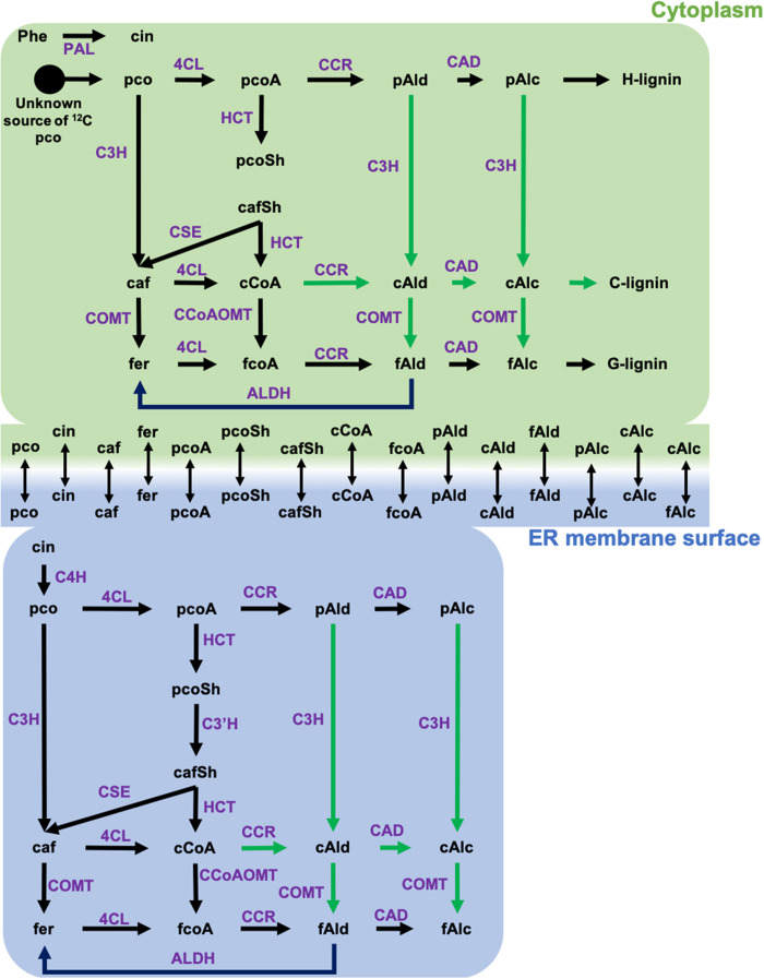 Fig. 4.