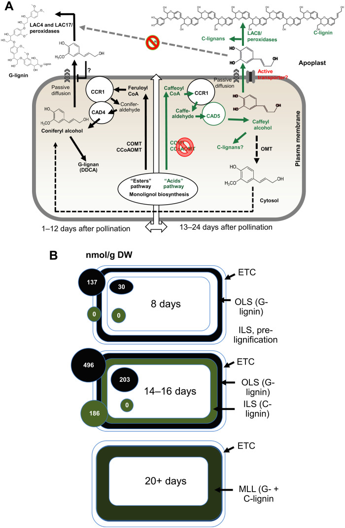 Fig. 9.