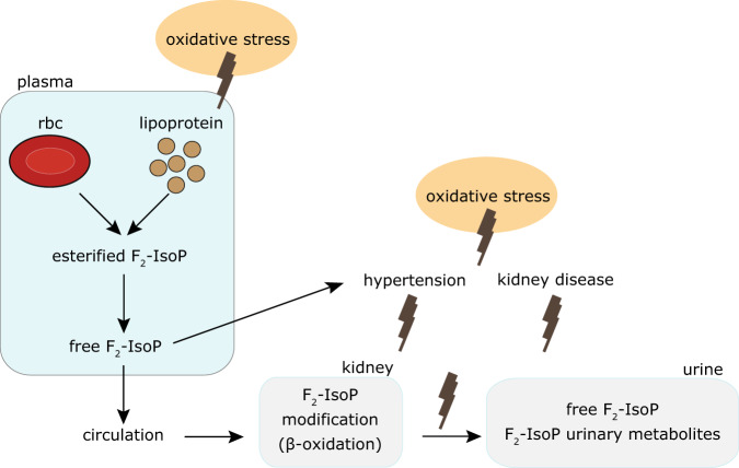 Fig. 9