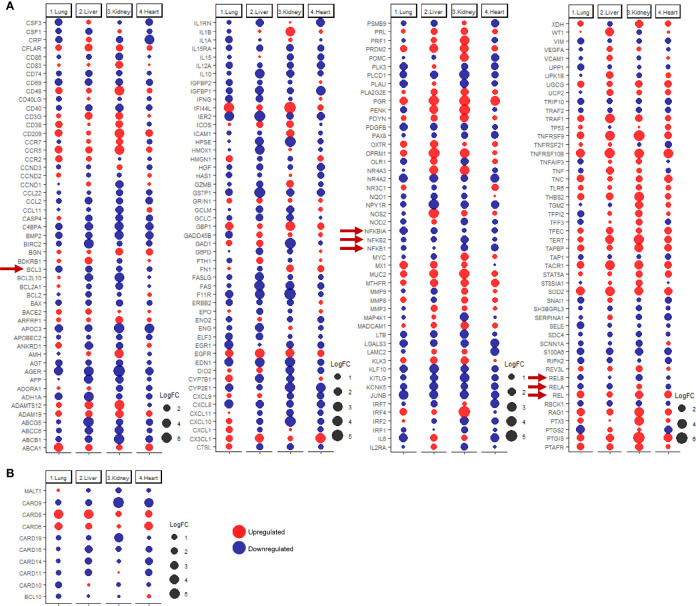 Figure 4