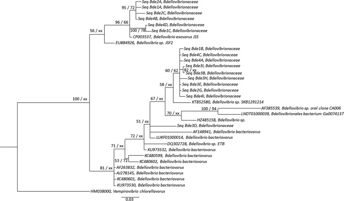 FIG 3