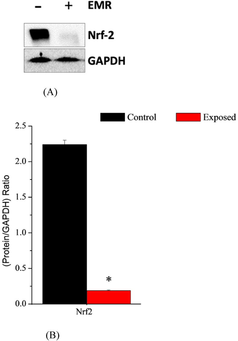 Figure 5