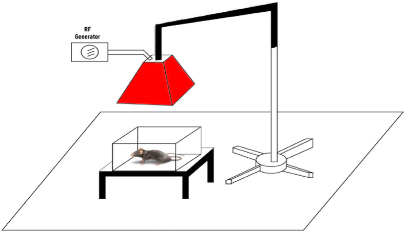 Figure 1