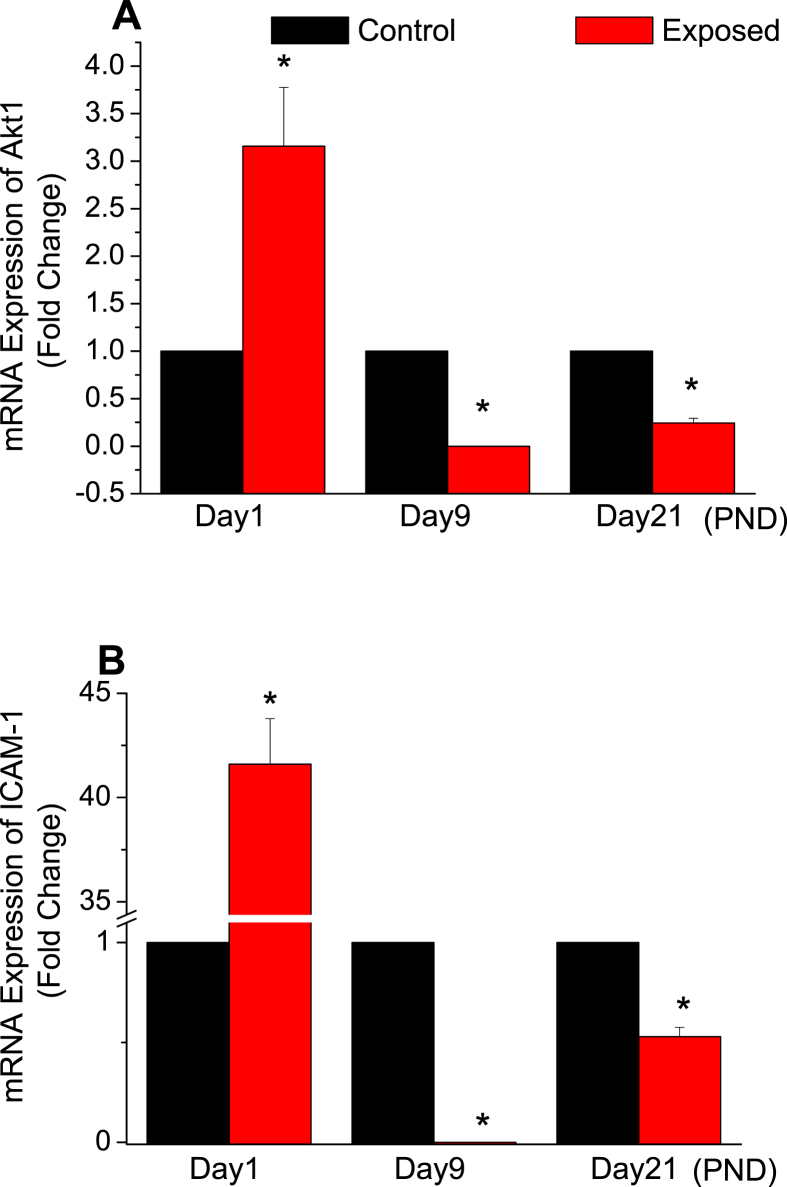 Figure 4