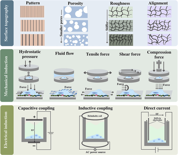 FIGURE 3