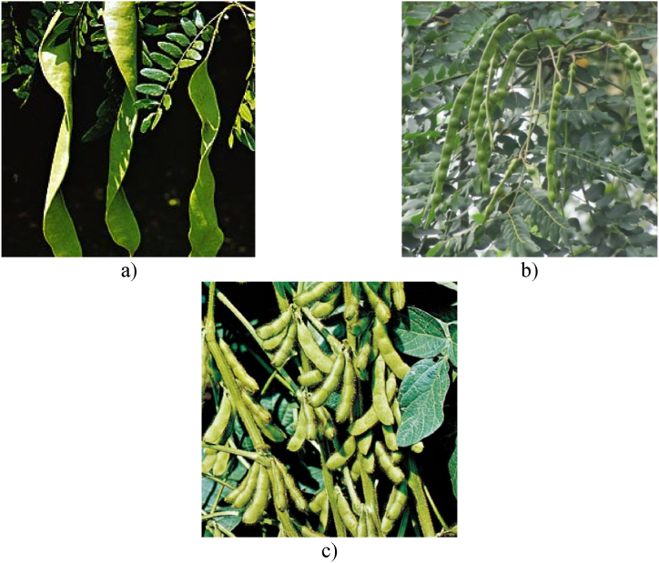 Fig. 8