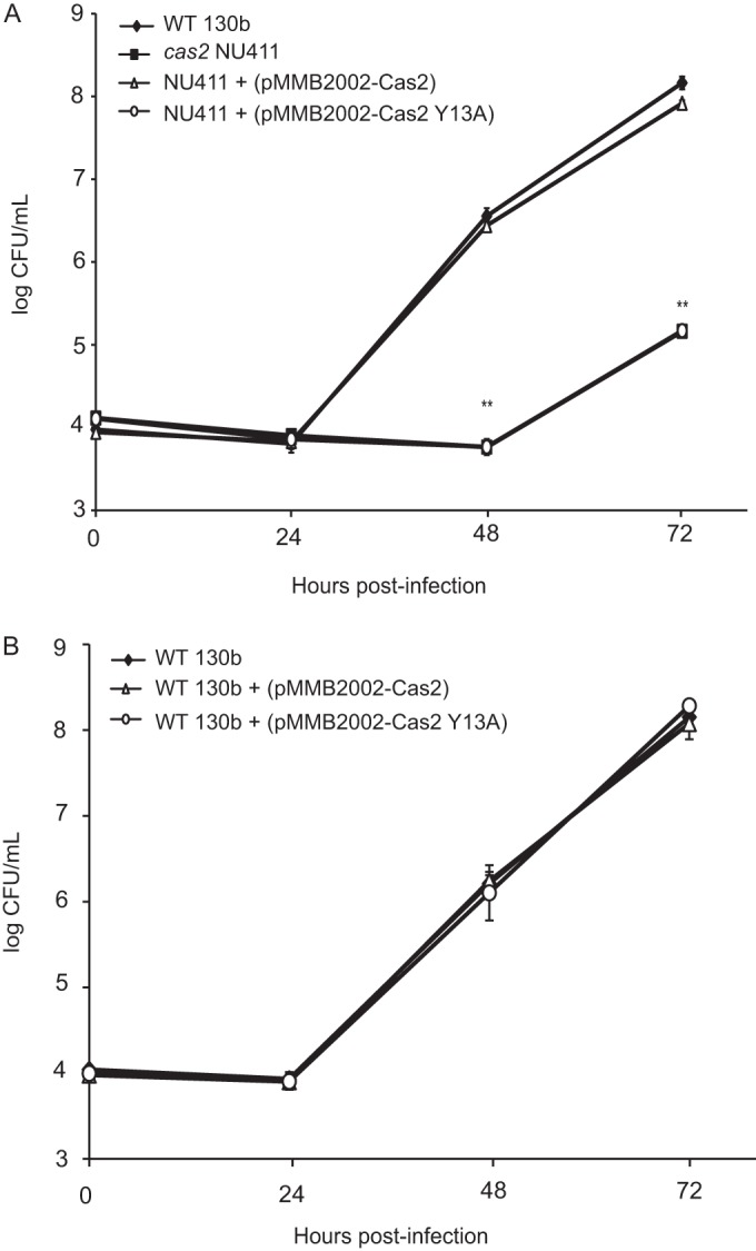 FIG 6