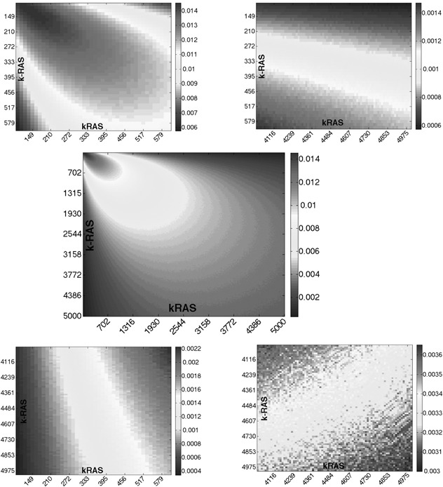 Fig. 12