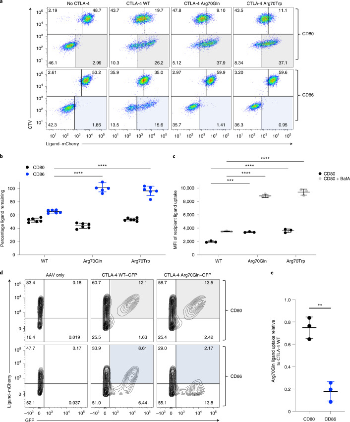 Differences in CD80 and CD86 transendocytosis reveal CD86 as a key ...