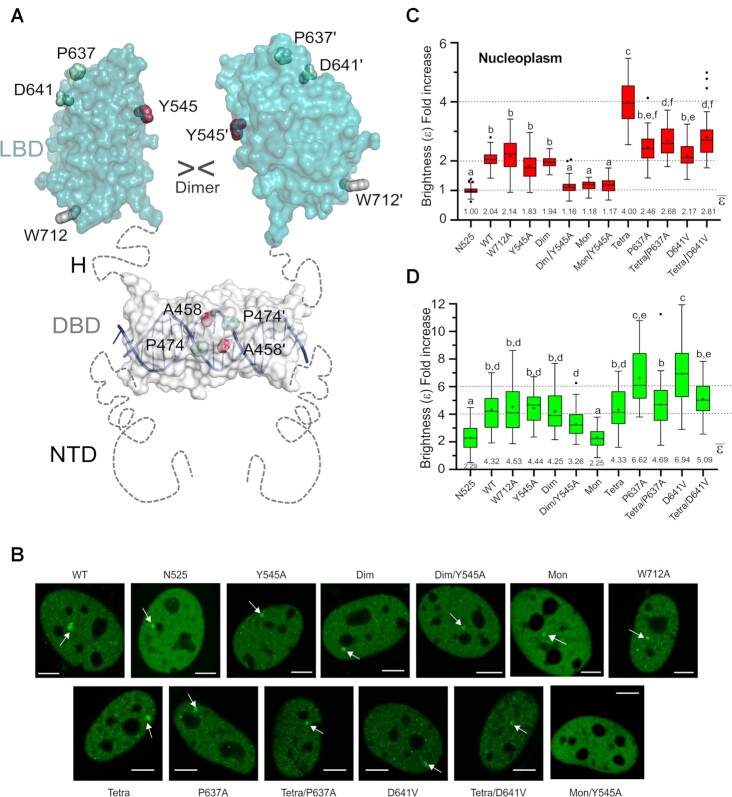 Figure 6.